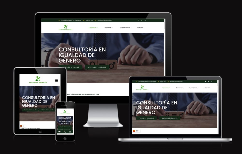 visualia360-marketing-y-diseno-web-asturias-clientes-asturias-diversa