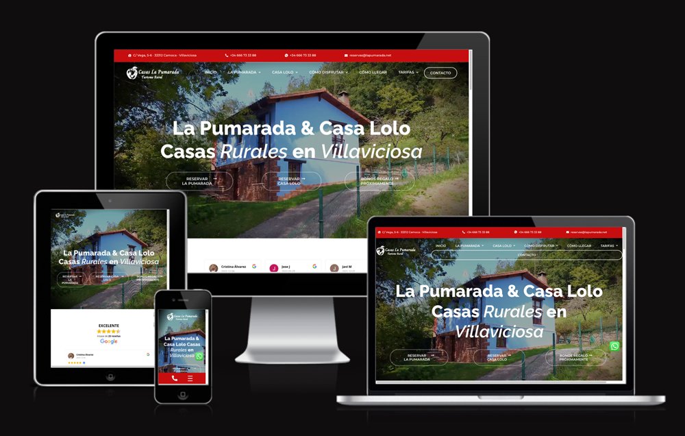 visualia360-marketing-y-diseno-web-asturias-clientes-la-pumarada